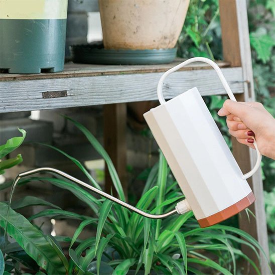 Arrosoir d'intérieur