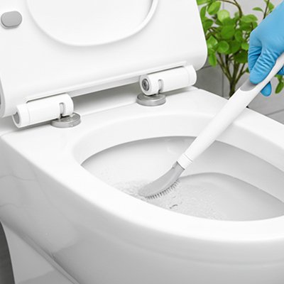 Brosse pour toilette