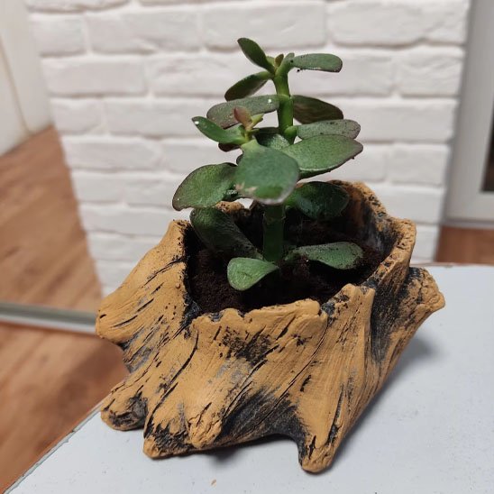 Pot de fleur interieur