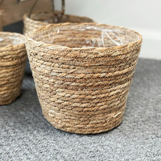 Pots de fleurs