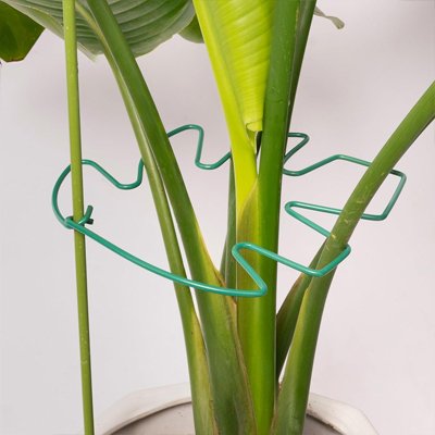 Support plante grimpante