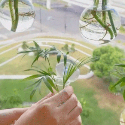 Vase | Vegetal Design Mural
