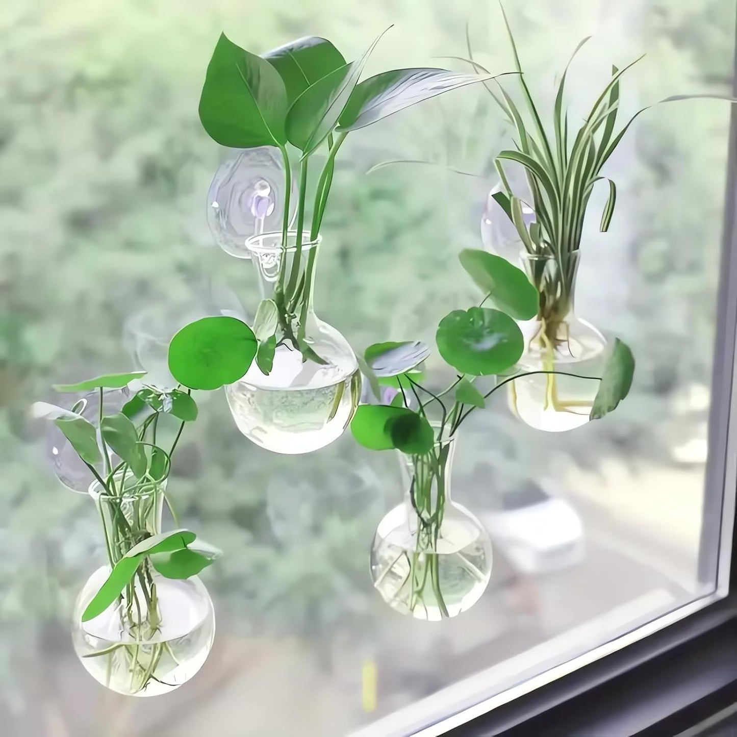 Vase | Vegetal Design Mural