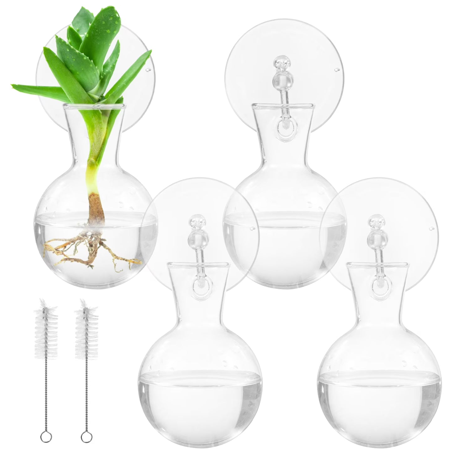 Vase | Vegetal Design Mural
