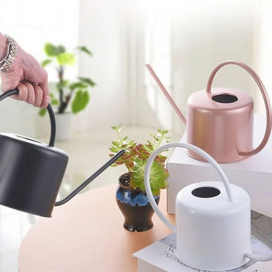 Arrosoir d'intérieur