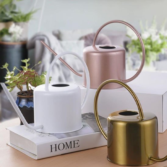 Arrosoir d'intérieur