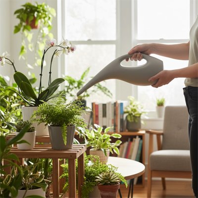 Arrosoir d'intérieur 