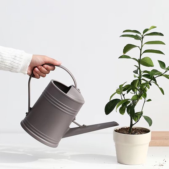 Arrosoir d'intérieur​