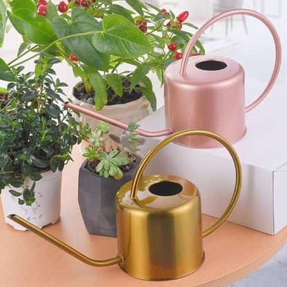 Arrosoir d'intérieur