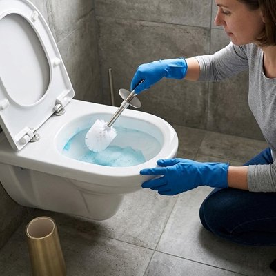 brosse pour toilette