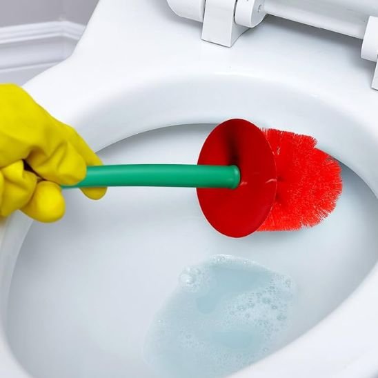 Brosse WC