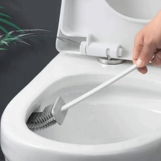 Brosse WC