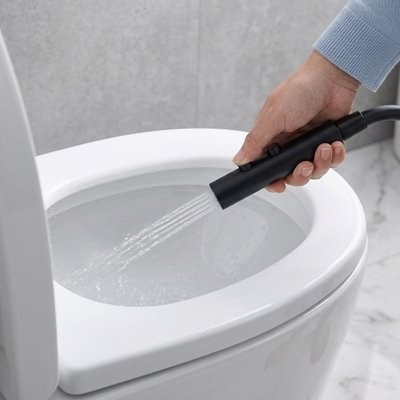 Douchette toilette