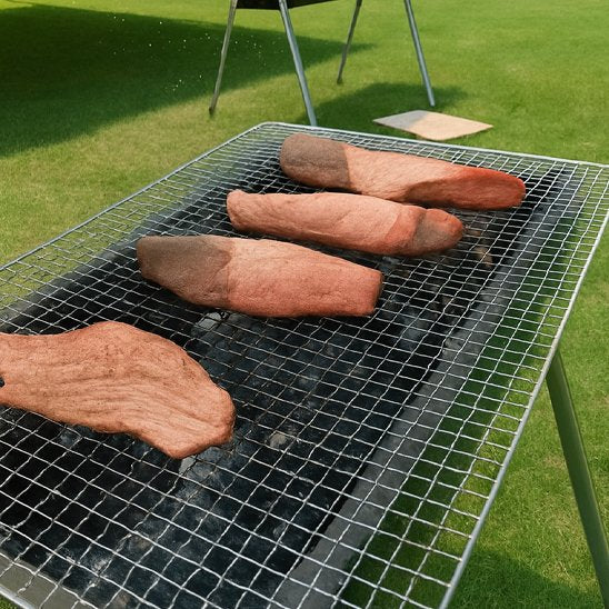 Grille pour barbecue 