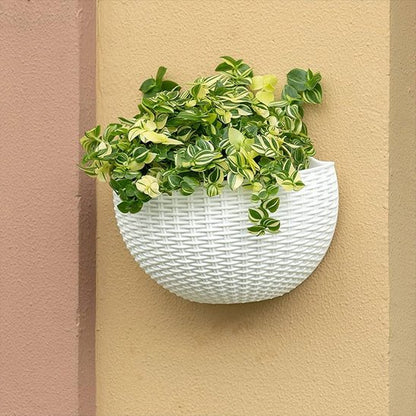 Jardiniere murale 