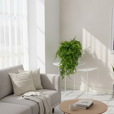 Plante artificielle tombante