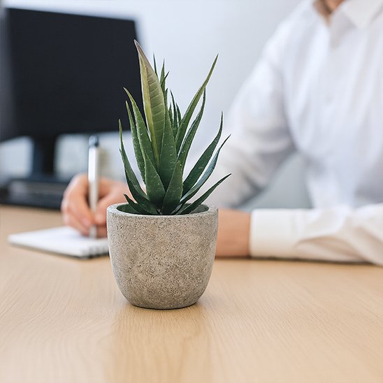 Plante artificielle 