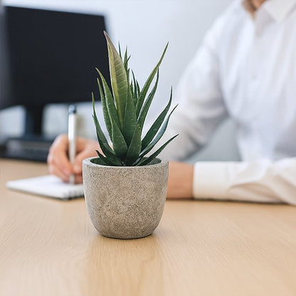 Plante artificielle 