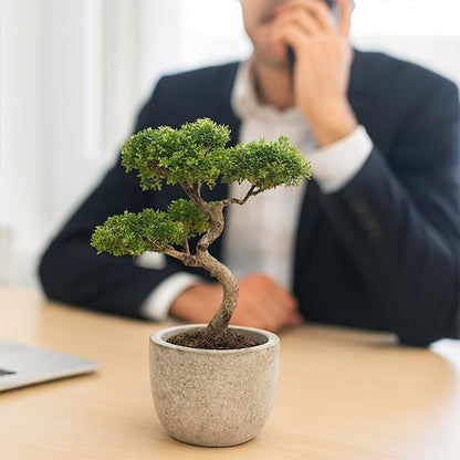 Plante artificielle 