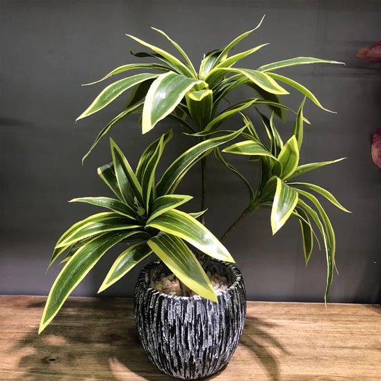 Plante artificielle 