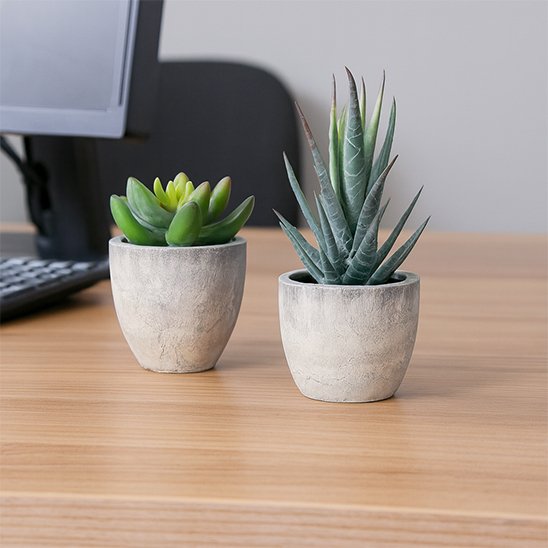 Plante artificielle 