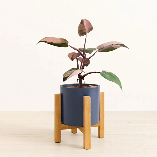 Porte plante 