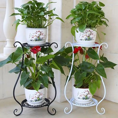 Porte plantes