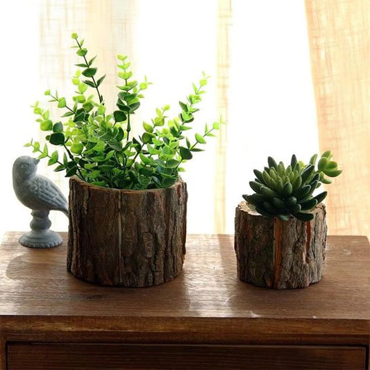 Pot de fleur interieur 