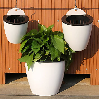 Pot de fleur mural