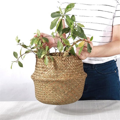 Pot de fleur 
