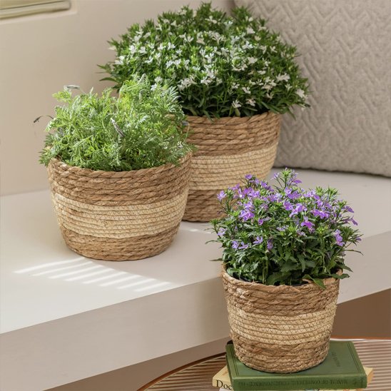 Pot de fleur 