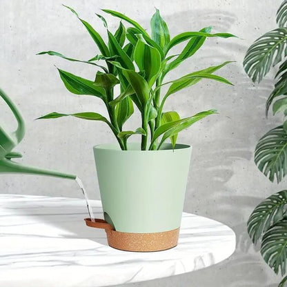 Pot de fleur
