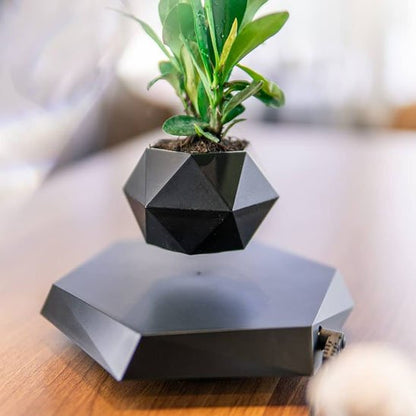 Pot de fleur 