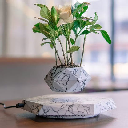 Pot de fleur 