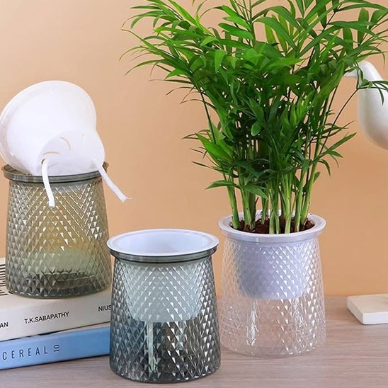 Pot de fleurs intérieur