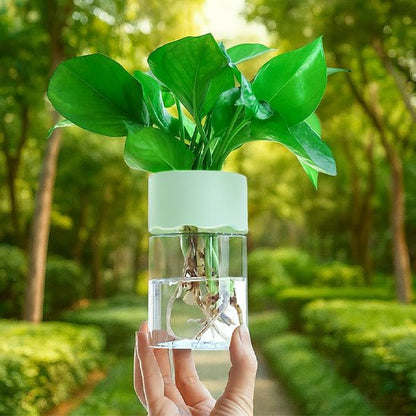 Pot de fleurs