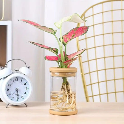 Pot de fleurs