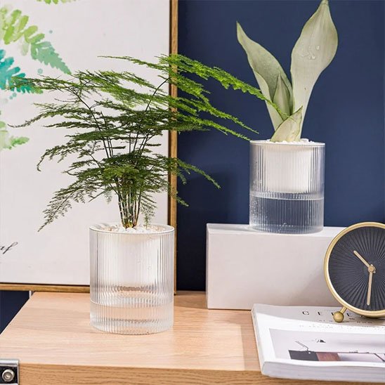 Pots de fleurs 
