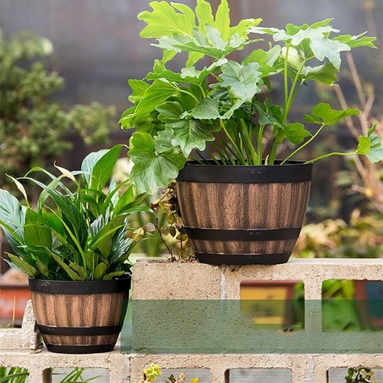Pots de fleurs 