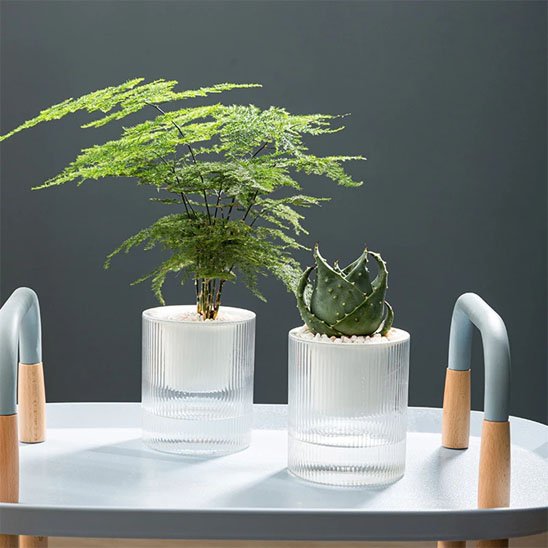 Pots de fleurs 