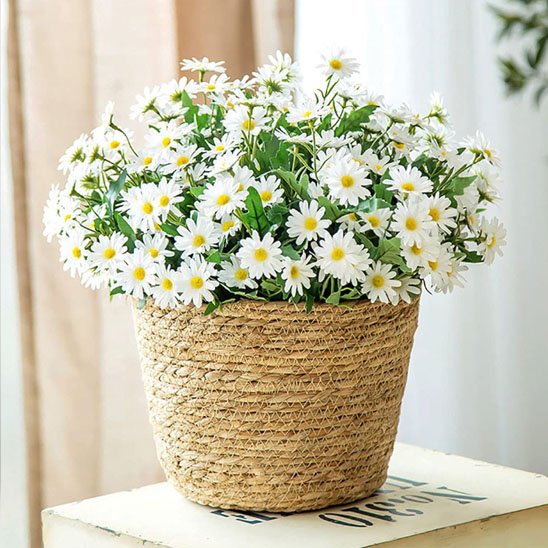 Pots de fleurs 