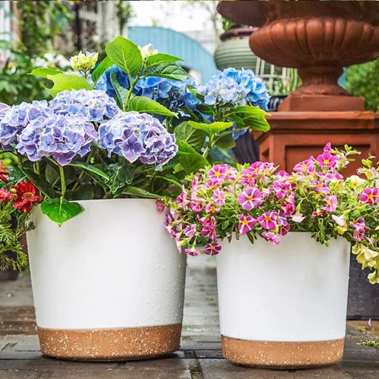 Pots de fleurs