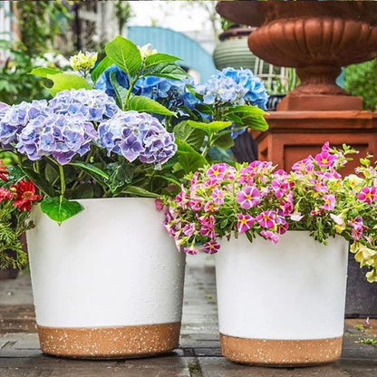 Pots de fleurs