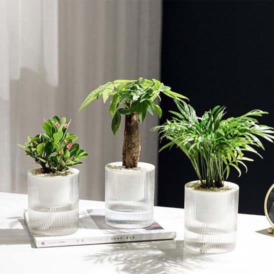 Pots de fleurs 