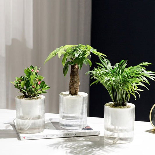 Pots de fleurs 