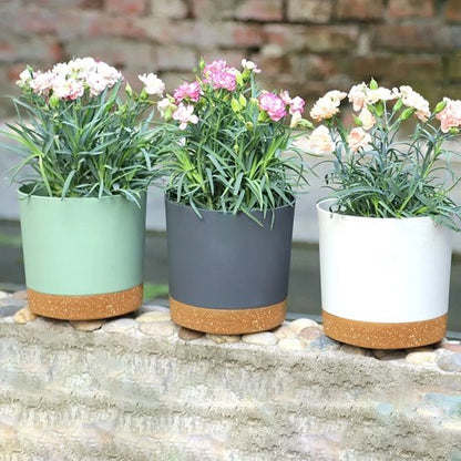 Pots de fleurs
