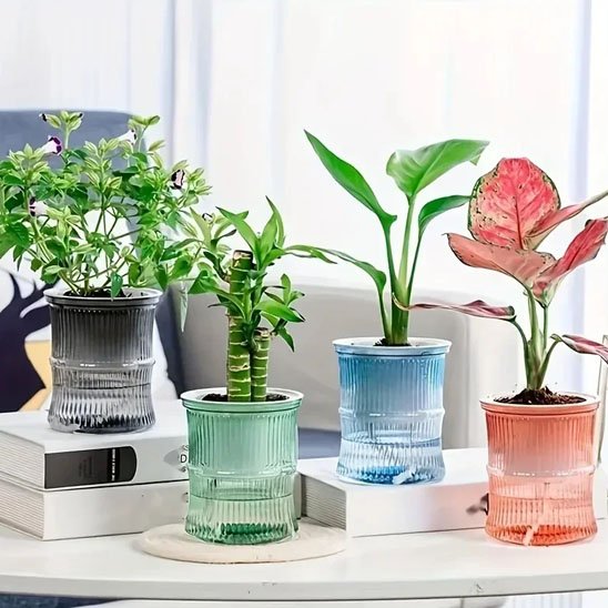 Pots de fleurs 