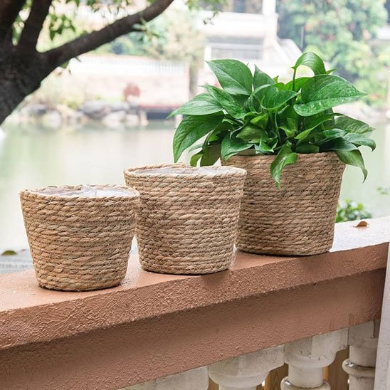 Pots de fleurs 