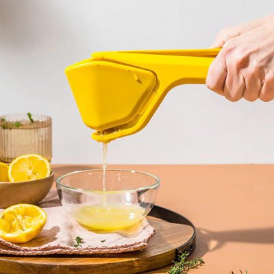 Presse citron manuel