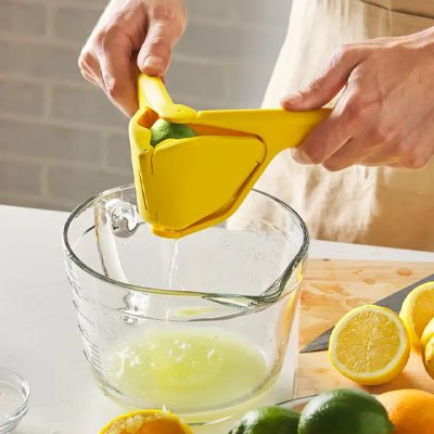 Presse citron manuel